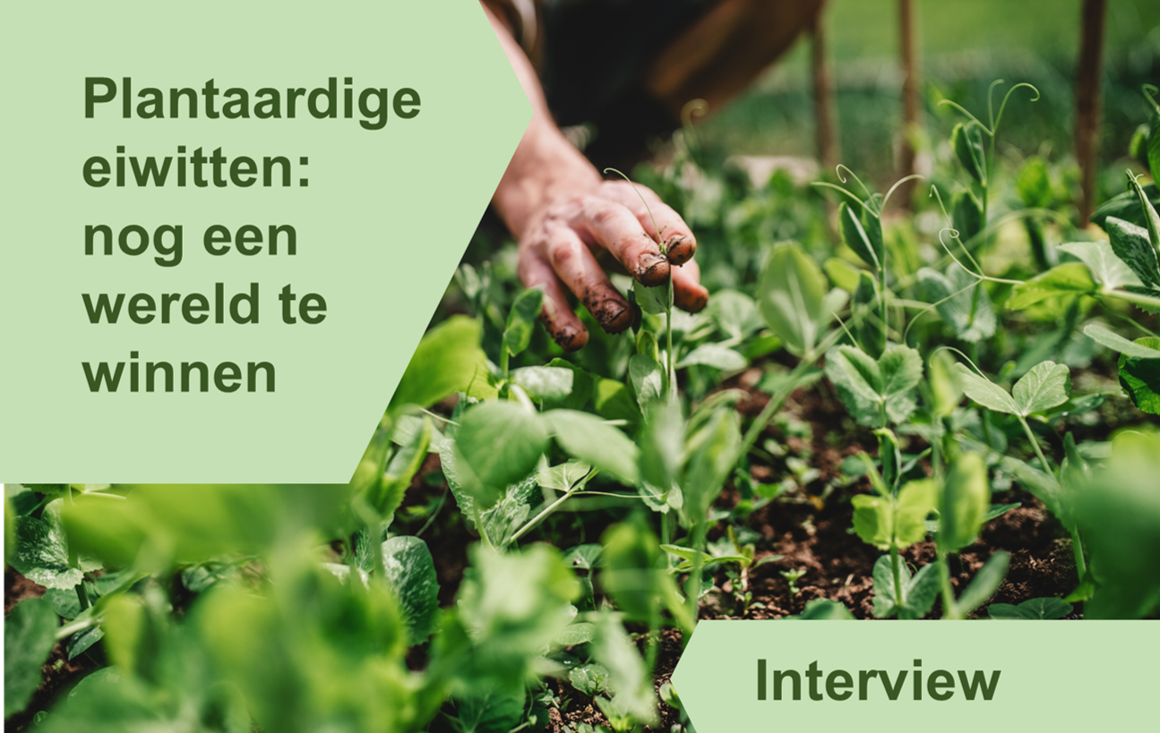 Plantaardige eiwitten: nog een wereld te winnen