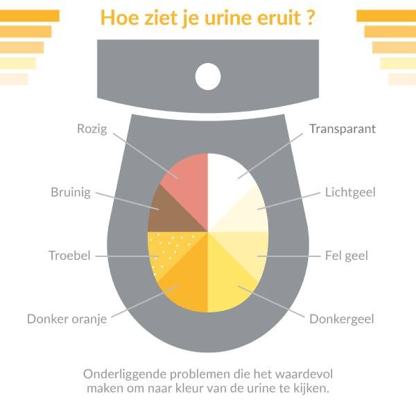 Hoe ziet je urine eruit?