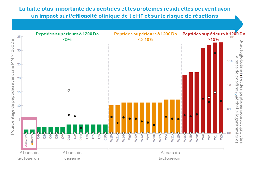 Graphique de l'influence de la taille des protéines sur les réactions allergiques