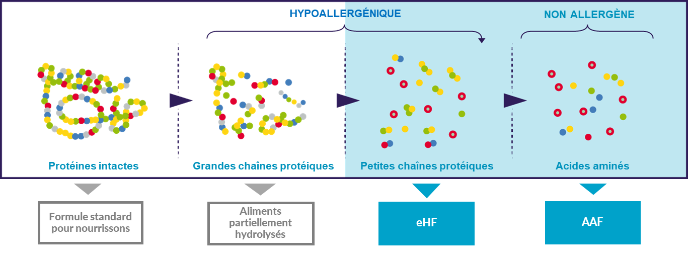 Degré d'hydrolyse des protéines