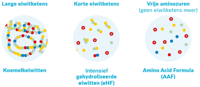 Hydrolysatie graad van eiwitten